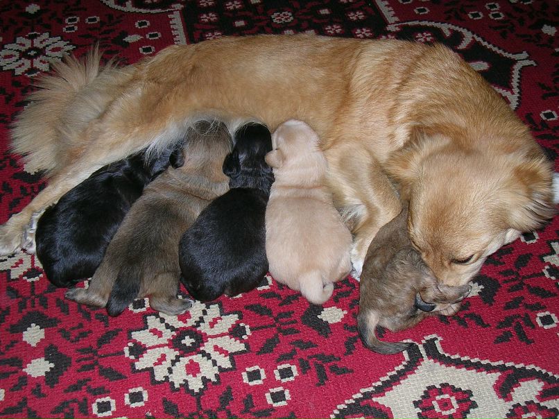 Дмитрий Бурлаков фотография #15