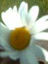 Іринка Ревер фотография #4 (источник - https://vk.com/id63741049)