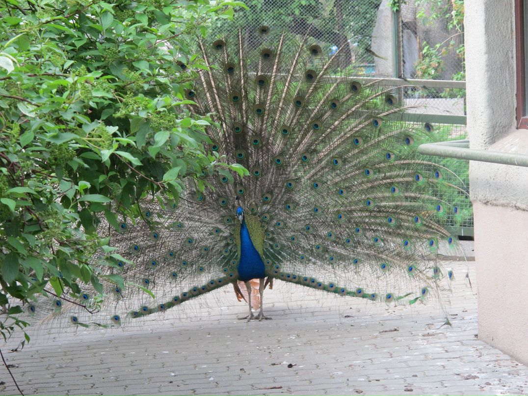 Маруся Горина фотография #50