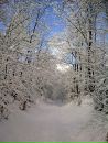 Іван Коваль фотография #17 (источник - https://vk.com/id50934328)
