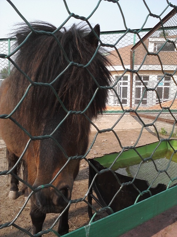 Дмитрий Иост фотография #48