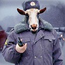 Микола Івасишин фотография #4 (источник - https://vk.com/id153223601)