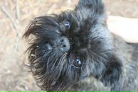 Фотография Герасимовой Оксаны