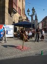 Микола Ціпіньо фотография #50 (источник - https://vk.com/id27993318)