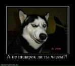 Фотография Lee Ann