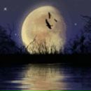 Фотография Светланы Светланы