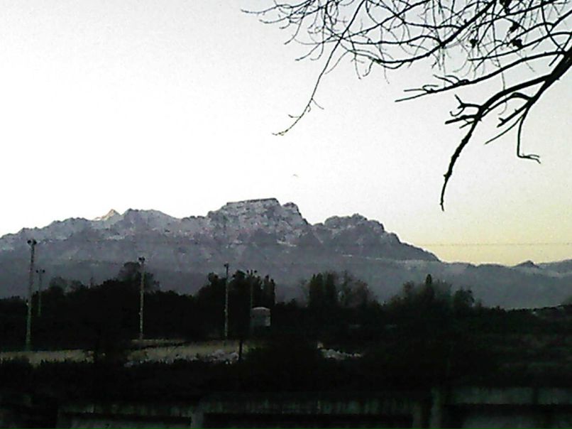 Судур Тадыев фотография #36