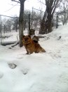 Андрій Гбур фотография #24 (источник - https://vk.com/id56079741)