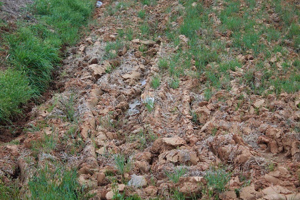 №19, Дарья Зарубина, Москва, Россия №19, Дарья Зарубина, Москва, Россия