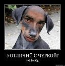 Юра Підківка фотография #2 (источник - https://vk.com/id63468190)