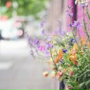 Фотография Волковой Эльги