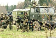 Фотография Лебедя Витали