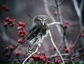 Діма Нiкiтiн фотография #7 (источник - https://vk.com/id80070430)